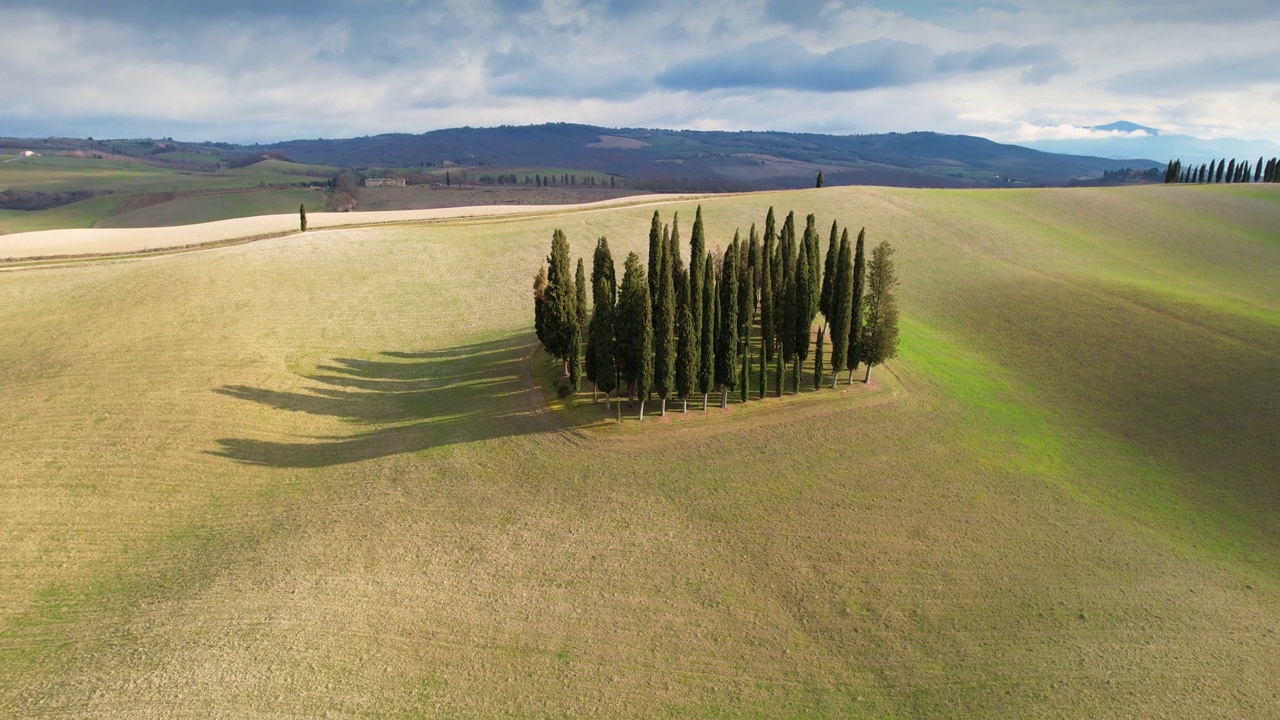 在托斯卡纳的绿色山丘的柏树群在春天。圆形鸟瞰图，柏树在Val D'Orcia，意大利。视频素材