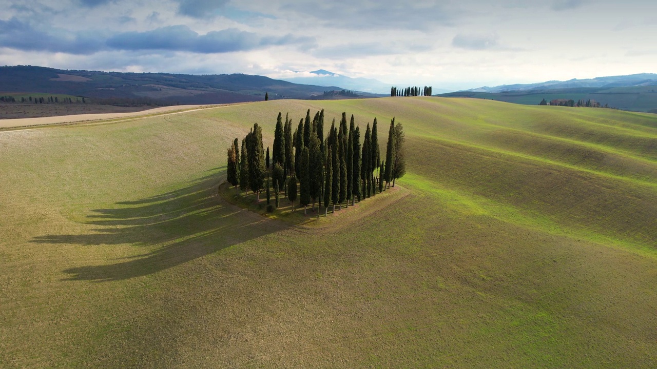 在托斯卡纳的绿色山丘的柏树群在春天。圆形鸟瞰图，柏树在Val D'Orcia，意大利。视频素材