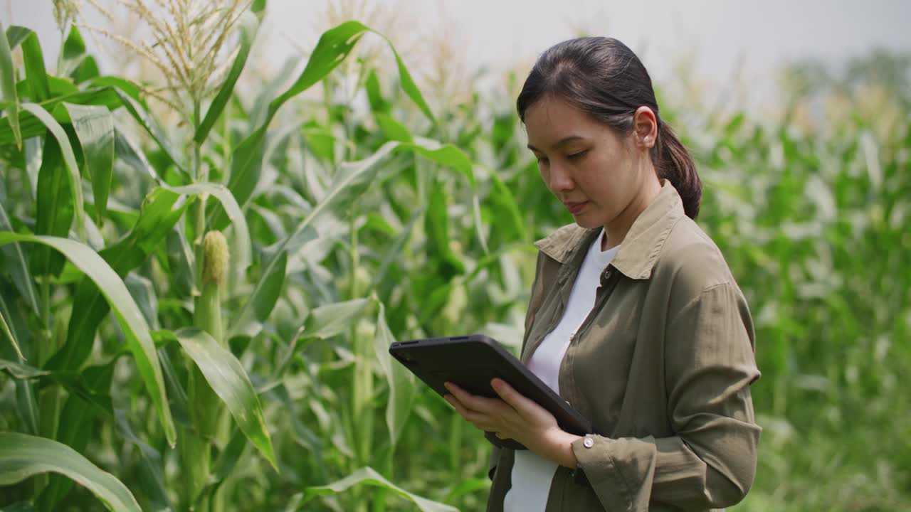 农民使用数码平板电脑，智能农业视频素材