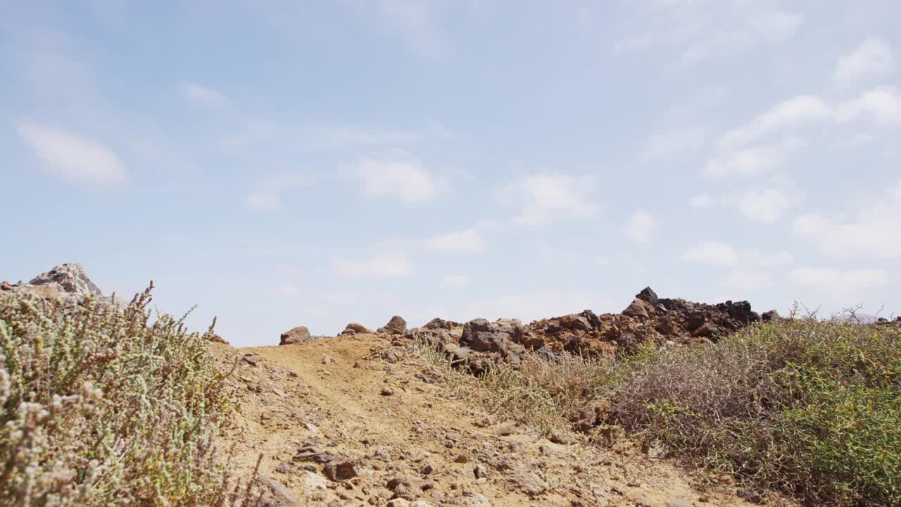 山地车骑在慢动作的MTB山地车径。男子在山地车比赛中接近自行车的动作。缓慢的运动。视频素材