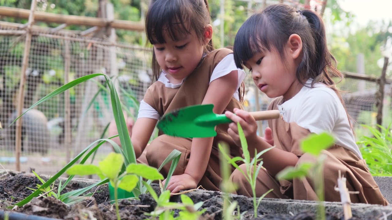 亚洲姐妹在后院菜园种植幼树。视频素材