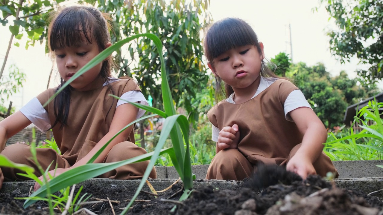 亚洲姐妹在后院菜园种植幼树。视频素材