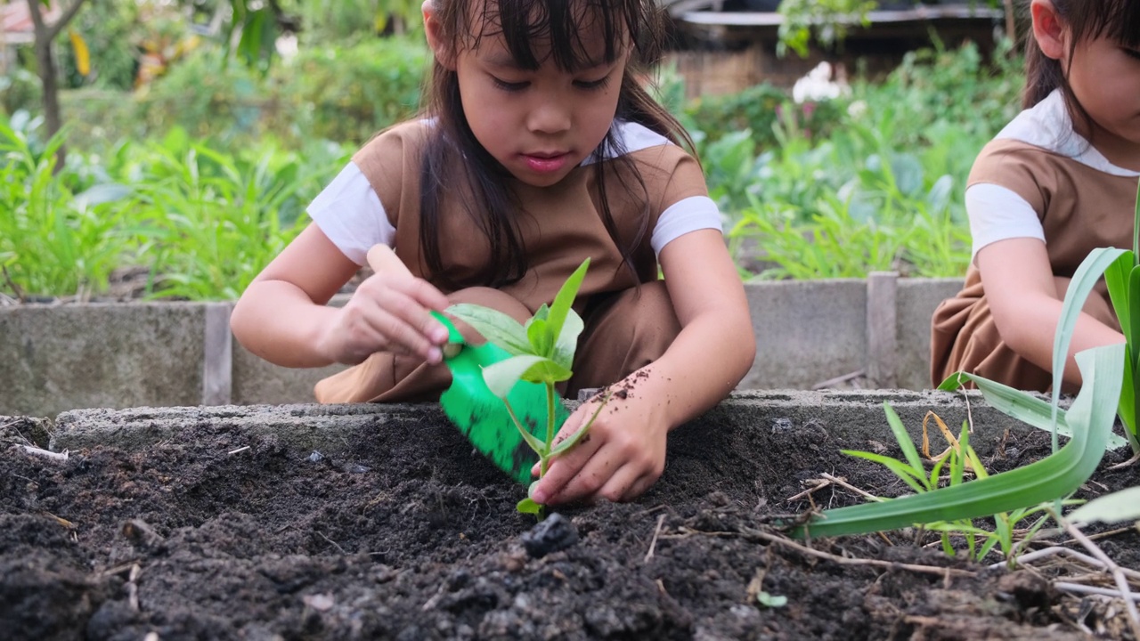 亚洲姐妹在后院菜园种植幼树。视频素材