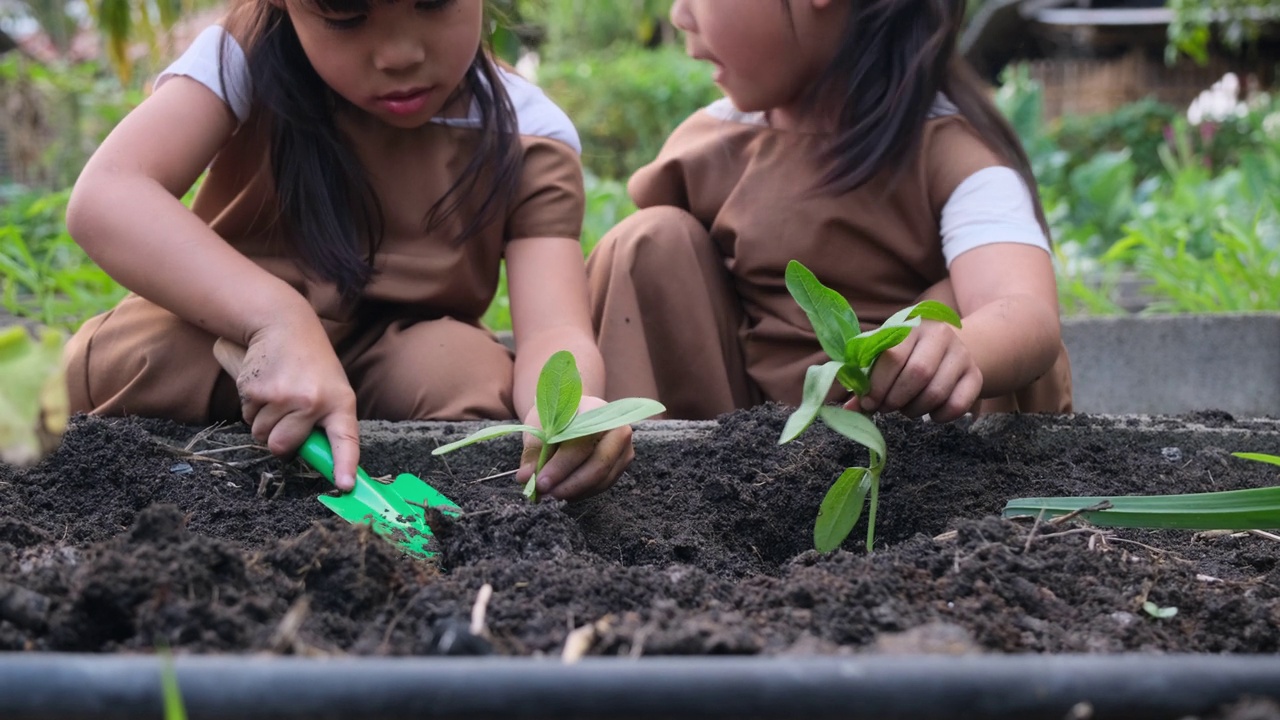 亚洲姐妹在后院菜园种植幼树。视频素材