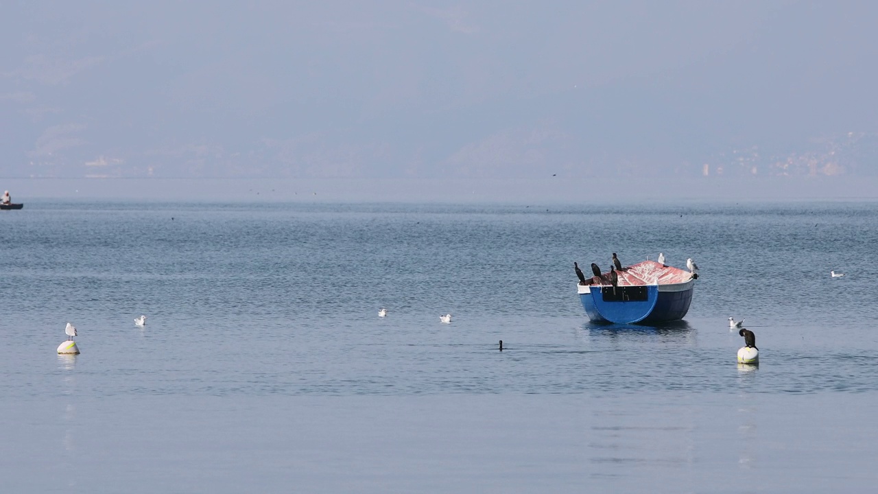 空木船漂浮在水面上视频素材