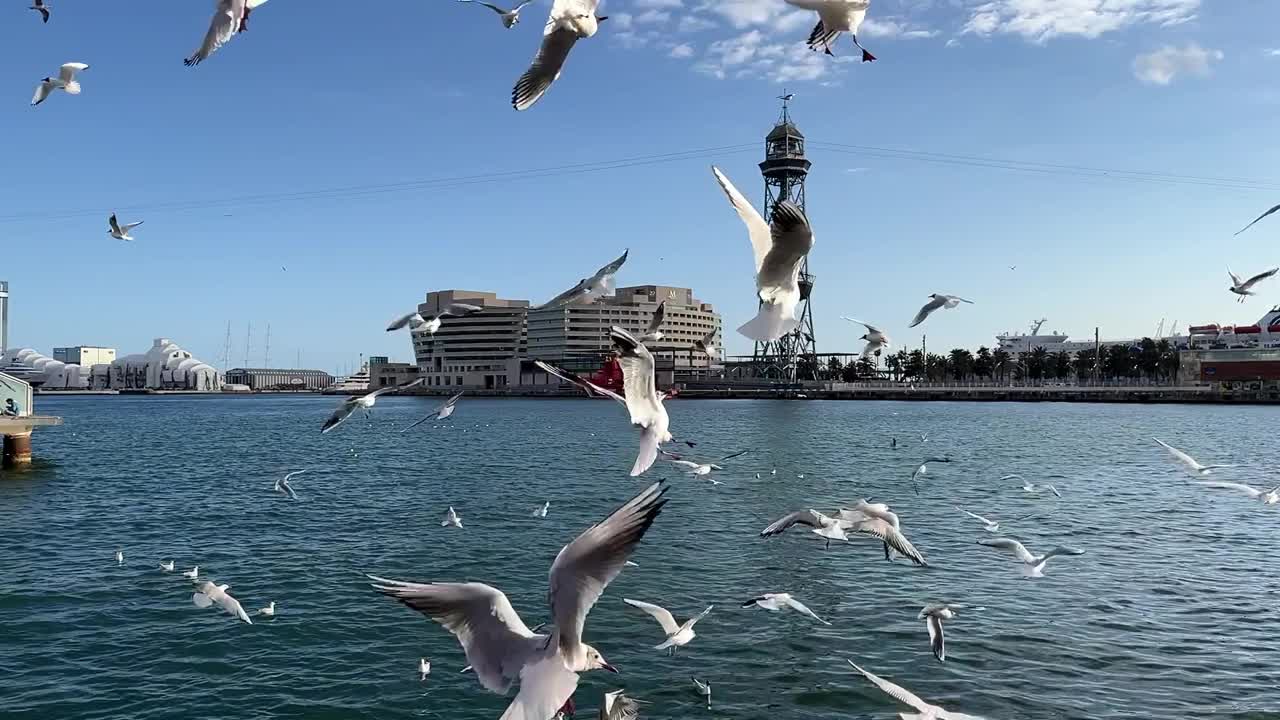 海岸的巴塞罗那视频素材