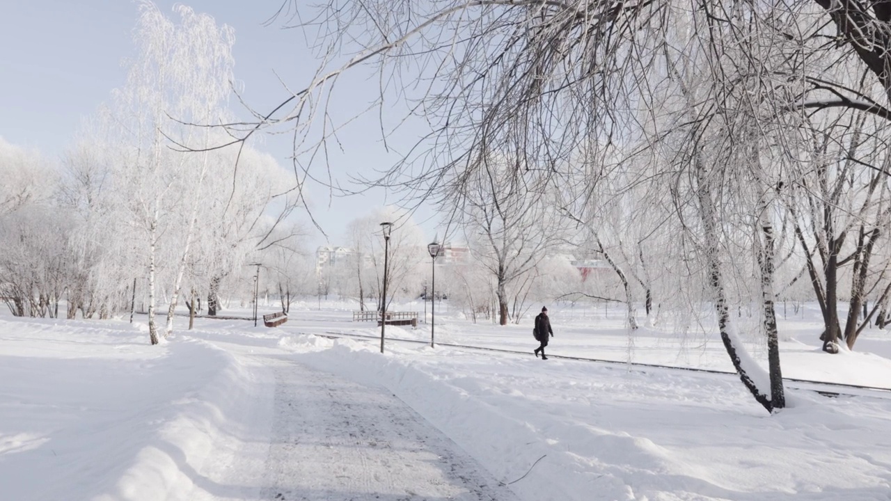 城市公园里白雪覆盖的小路视频素材