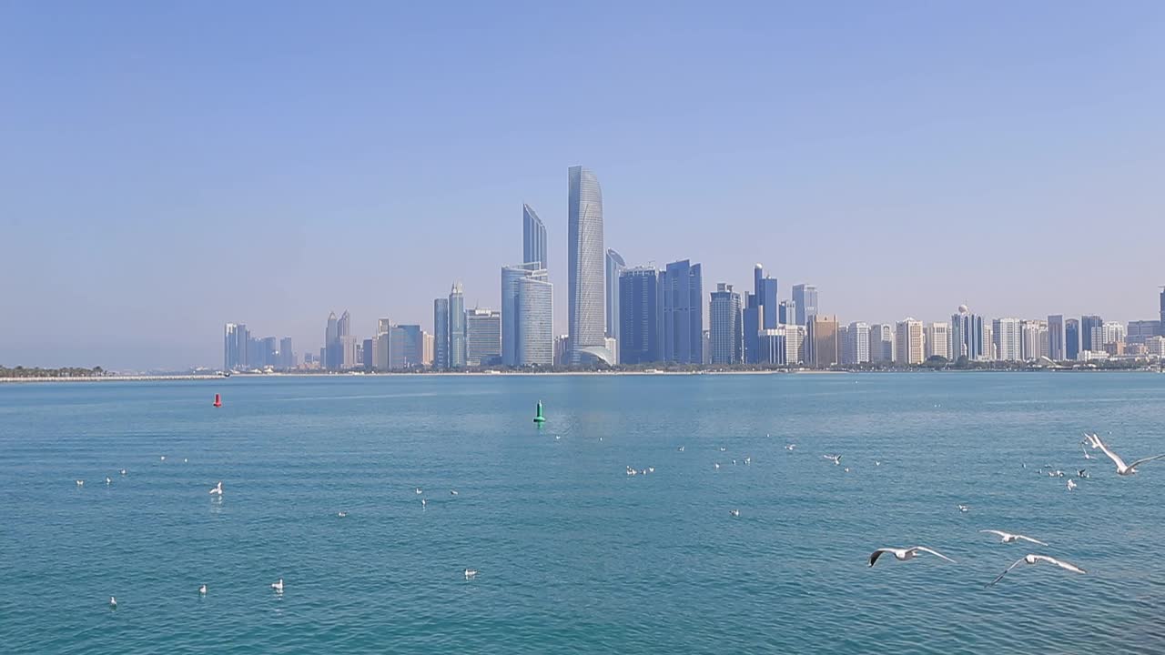 阳光明媚的阿布扎比，海鸥在海边飞来飞去视频素材