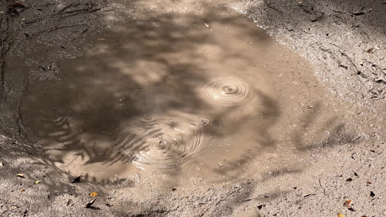 新西兰罗托鲁瓦地下地热活动形成的冒泡泥浆池视频下载