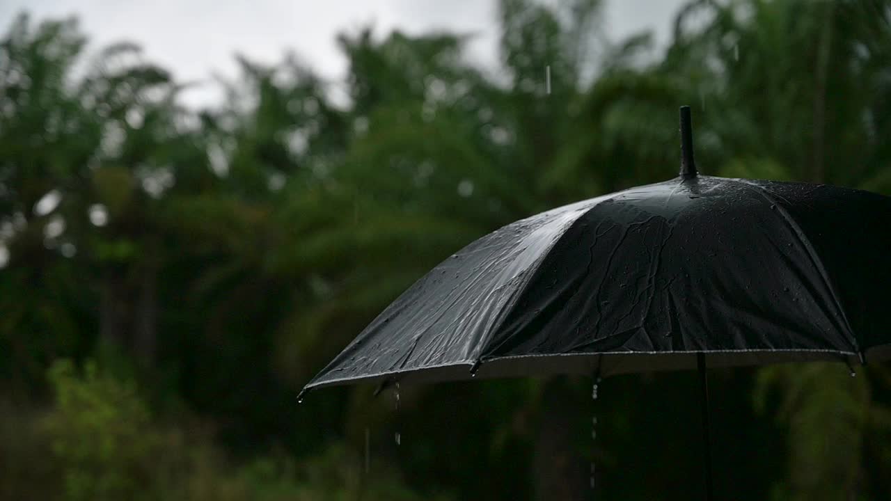 21、下雨了，在雨季里撑把伞视频素材