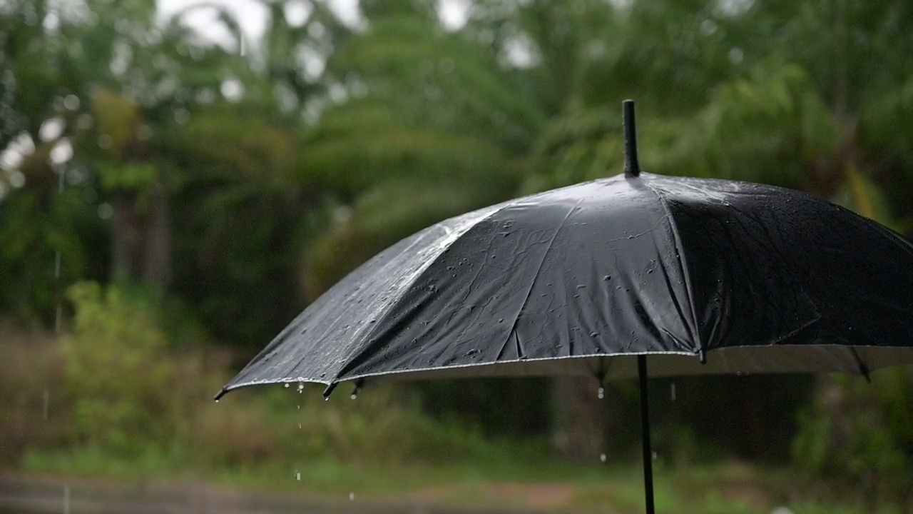 21、下雨了，在雨季里撑把伞视频素材