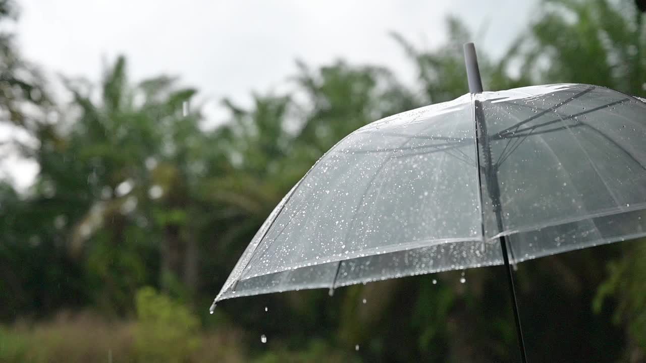 21、下雨了，在雨季里撑把伞视频素材