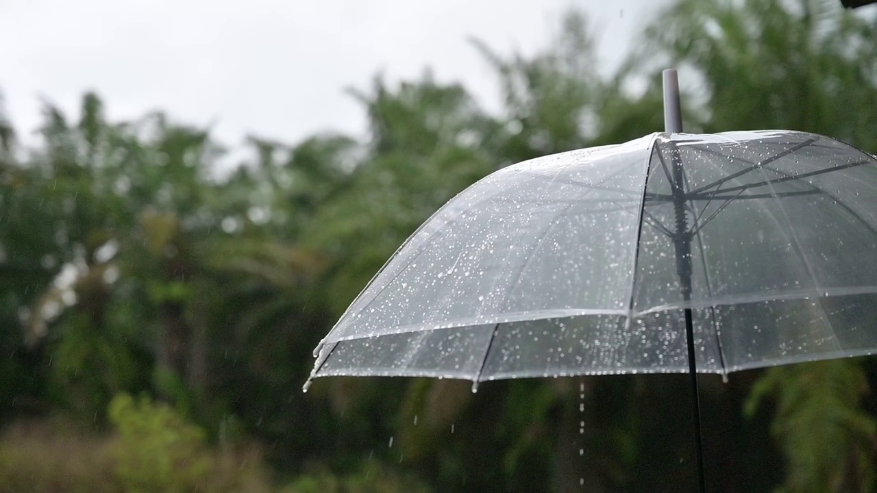 21、下雨了，在雨季里撑把伞视频素材