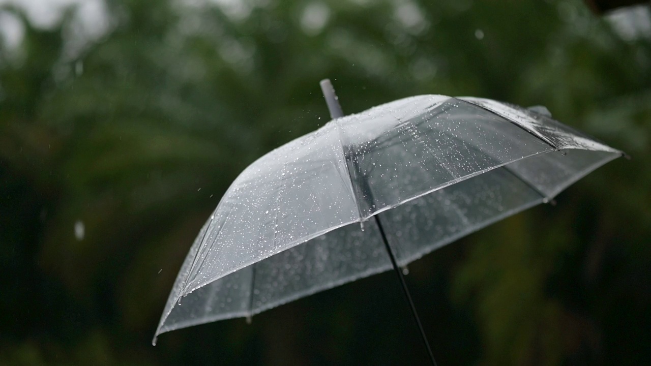 21、下雨了，在雨季里撑把伞视频素材