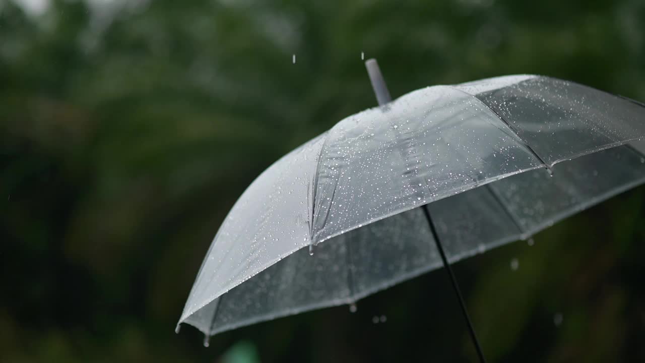 21、下雨了，在雨季里撑把伞视频素材