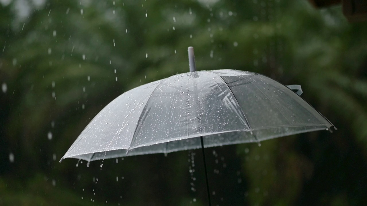 21、下雨了，在雨季里撑把伞视频素材