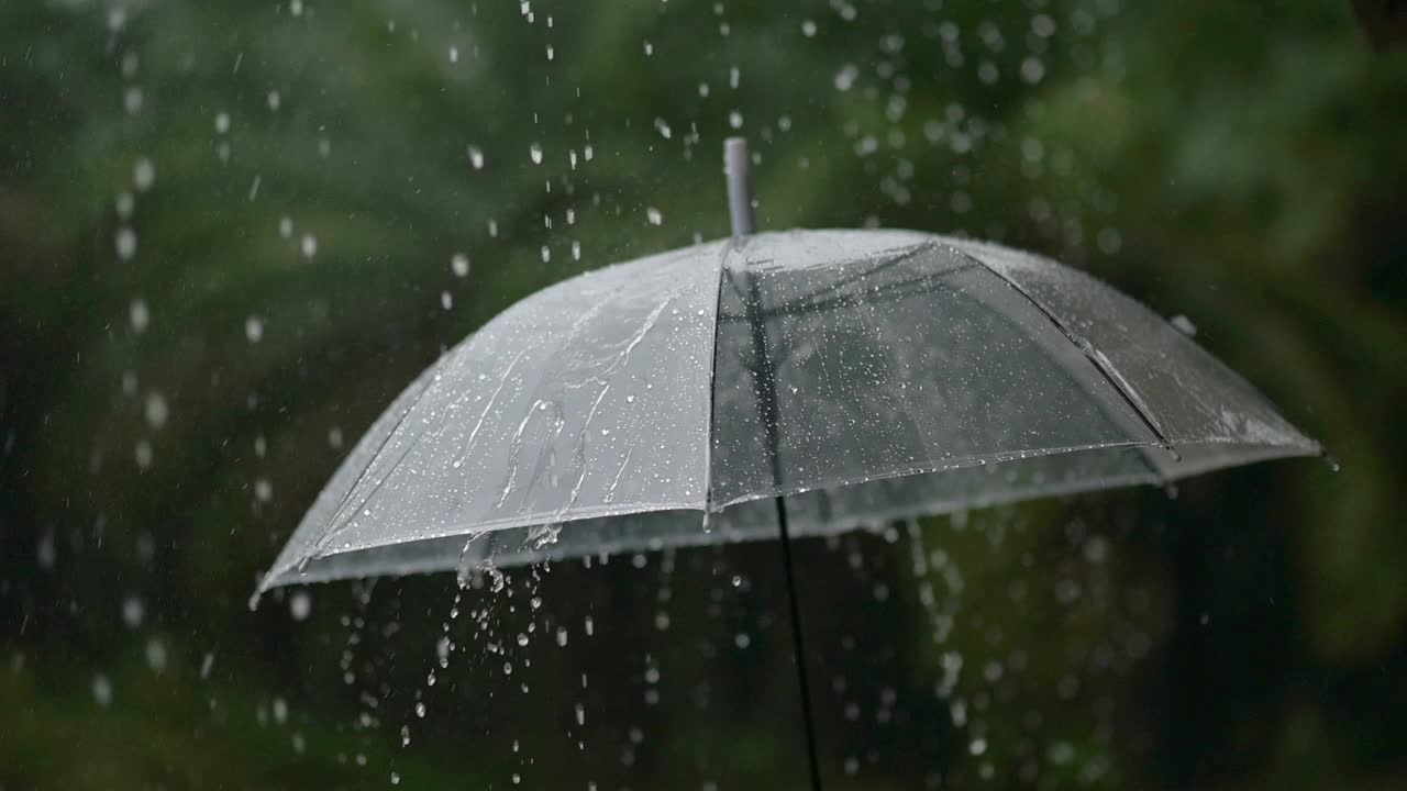 21、下雨了，在雨季里撑把伞视频素材