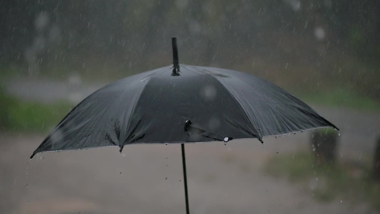 21、下雨了，在雨季里撑把伞视频素材