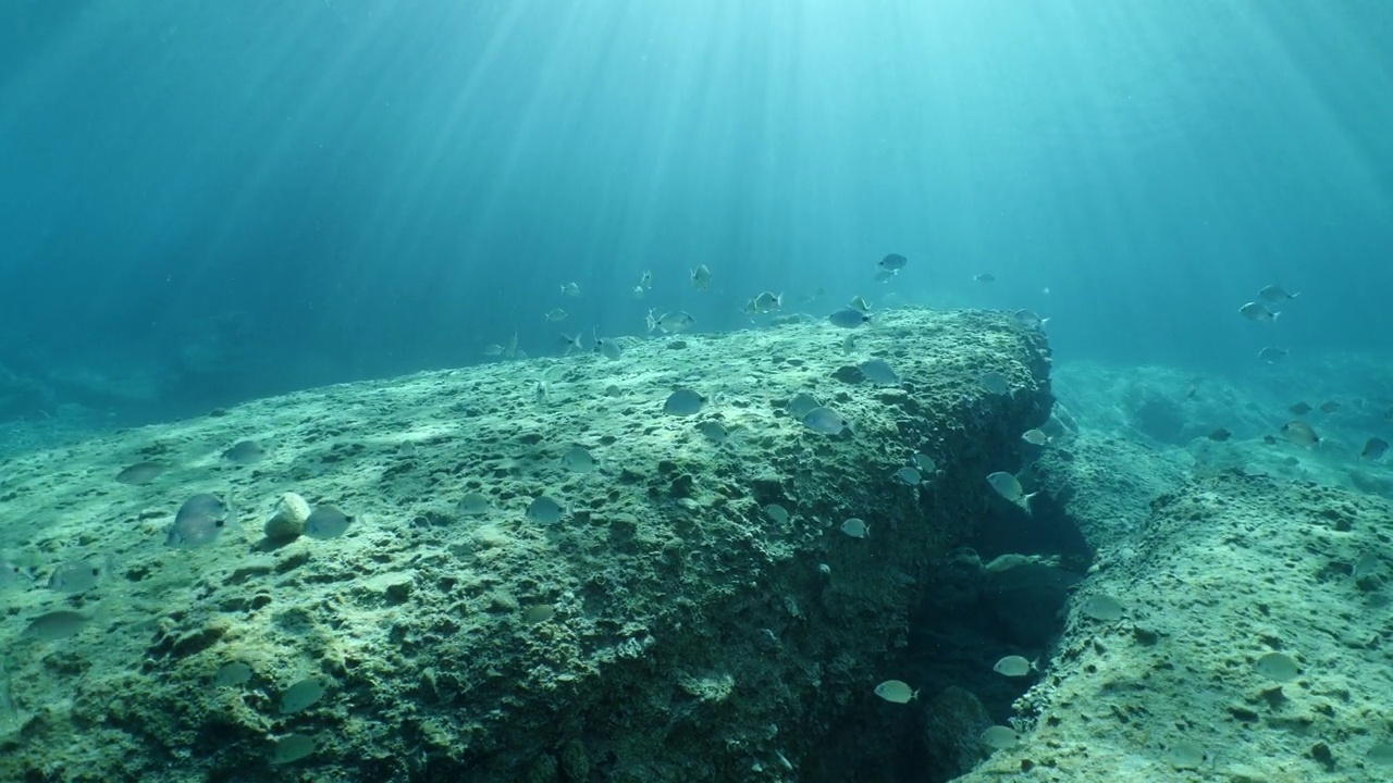 鱼风景水下阳光光束太阳光线水下地中海阳光照耀放松海洋风景视频素材