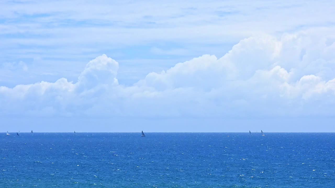 帆船在海洋上飞驰视频素材