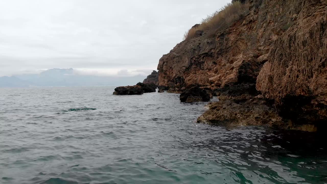 飞翔的海鸥视频素材