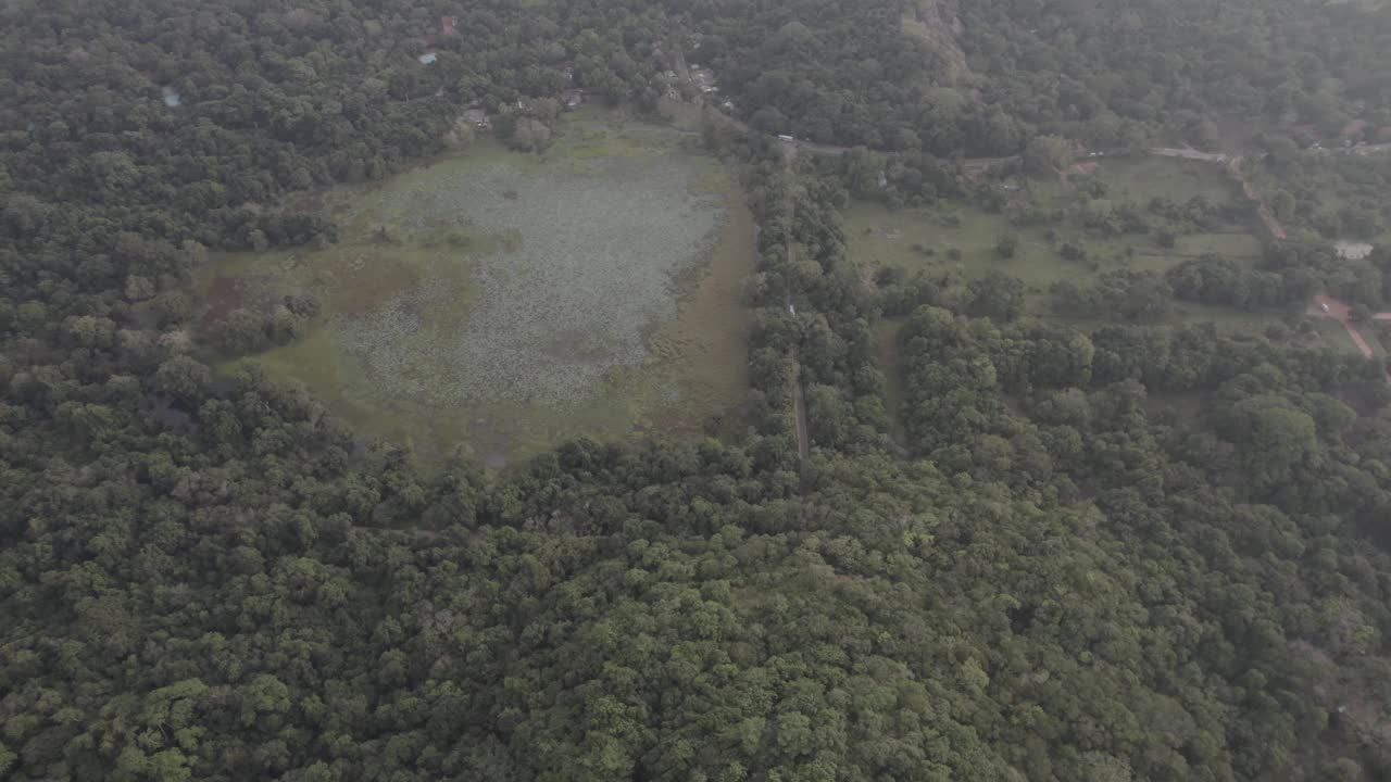 斯里兰卡Sigiriya Aerials狮头视频素材