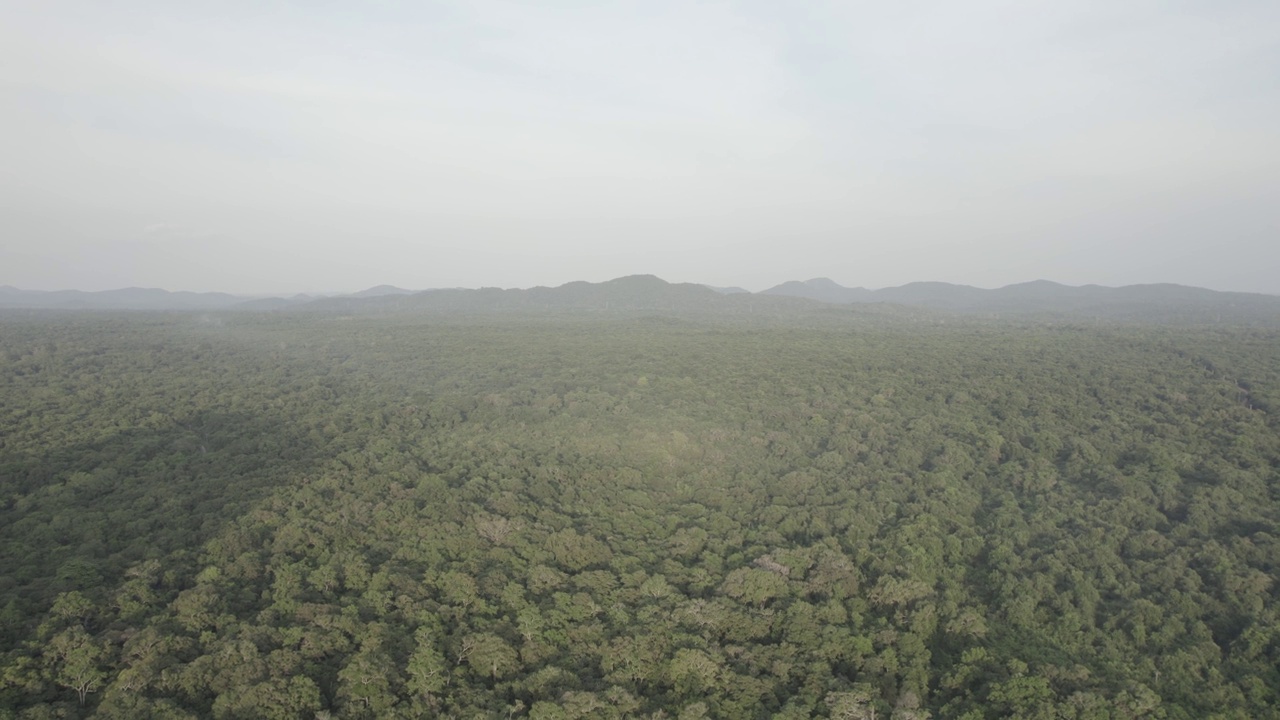 斯里兰卡Sigiriya Aerials狮头视频素材