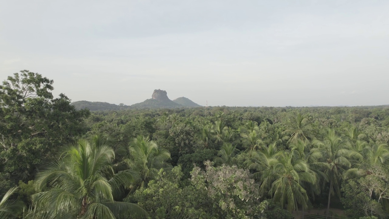 斯里兰卡Sigiriya Aerials狮头视频素材