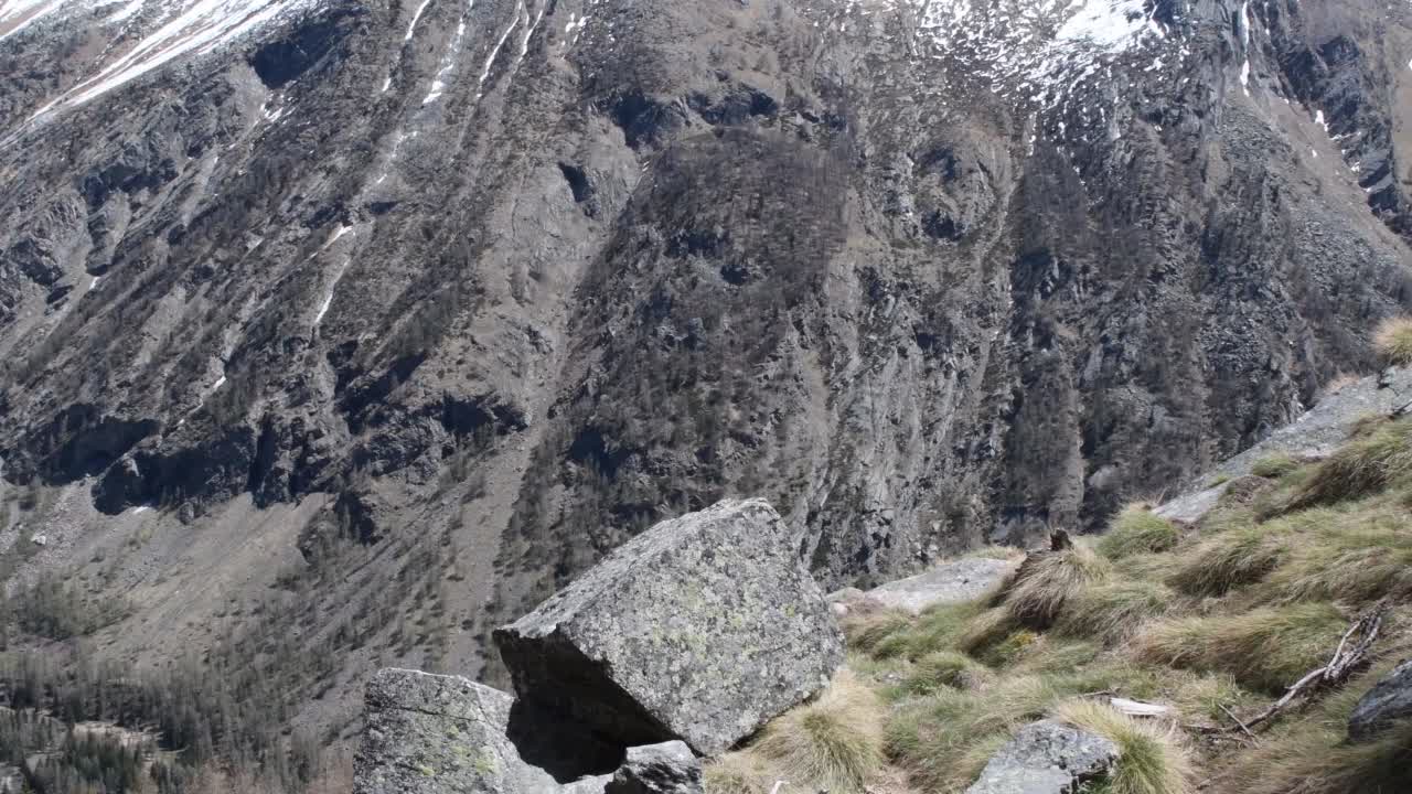 大天堂国家公园和野山羊的全景视频素材