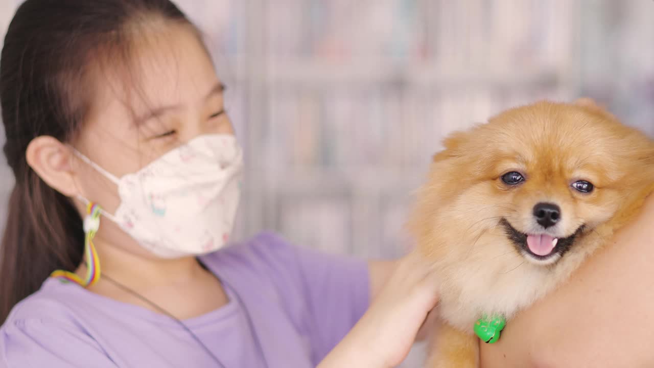 女孩和博美犬视频素材