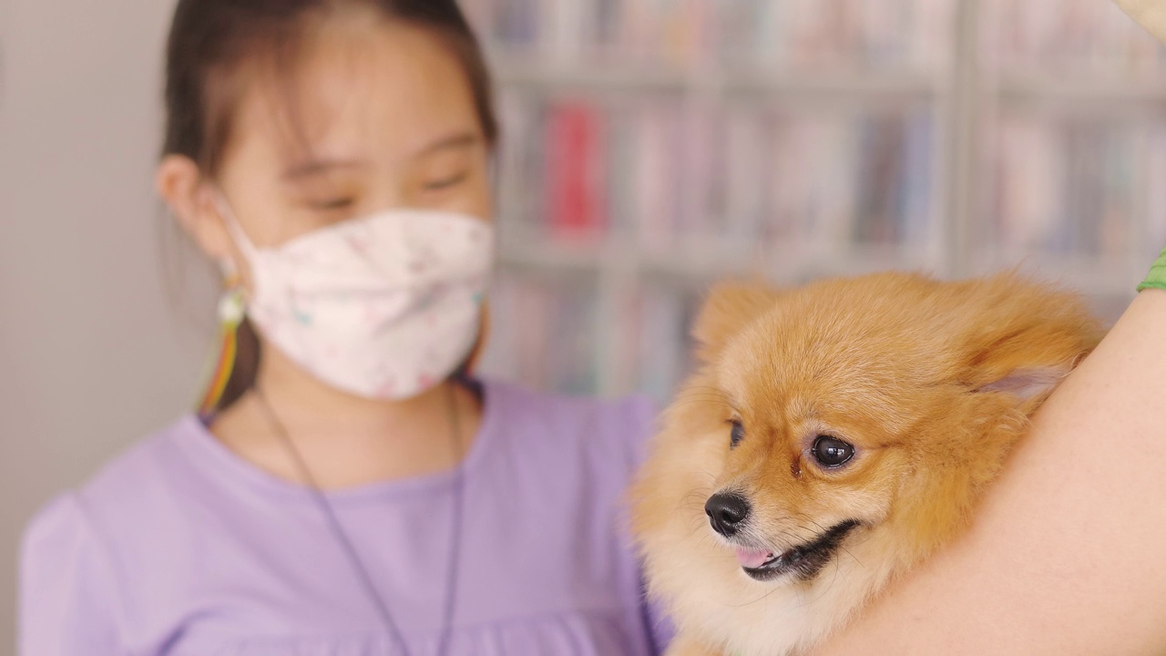 女孩和博美犬视频素材