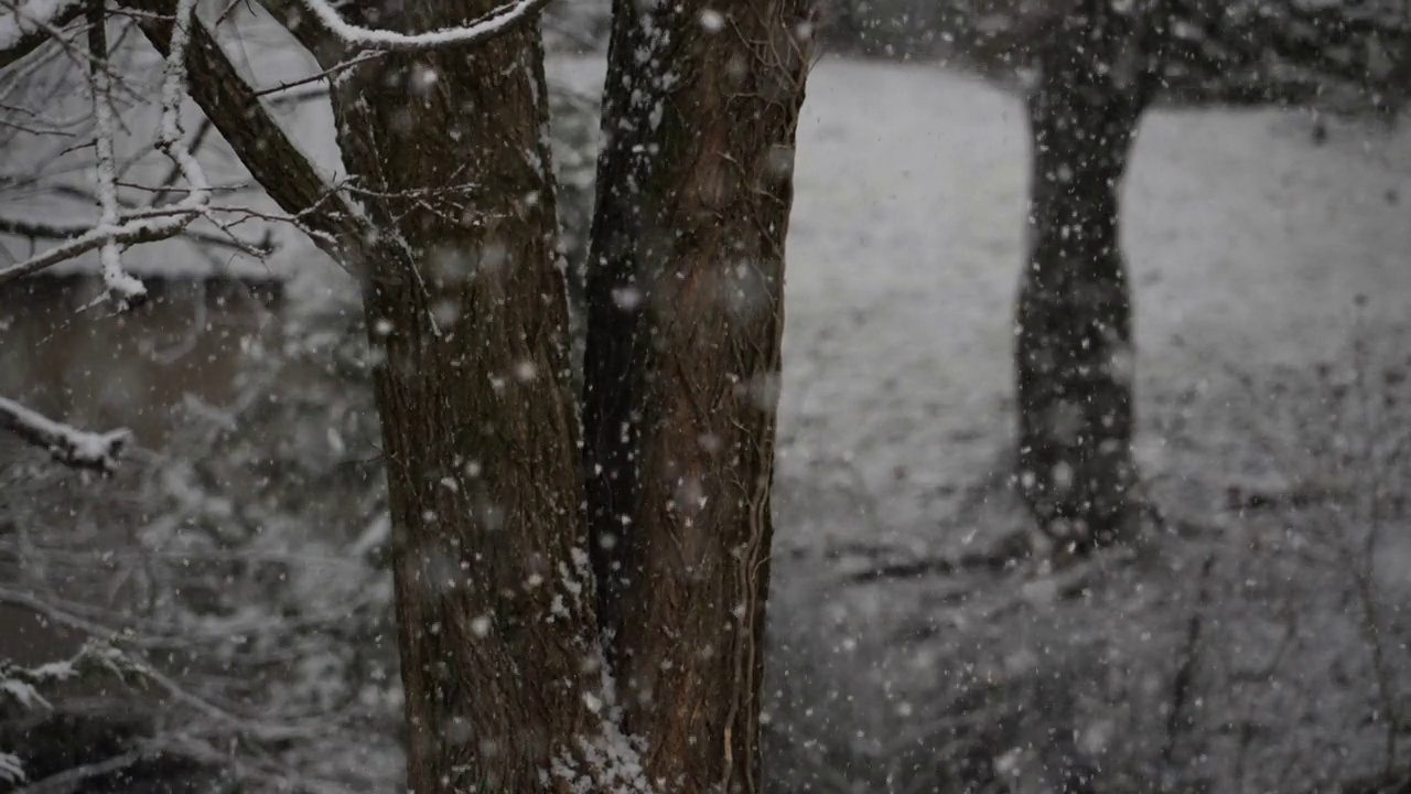 超慢动作雪花视频素材