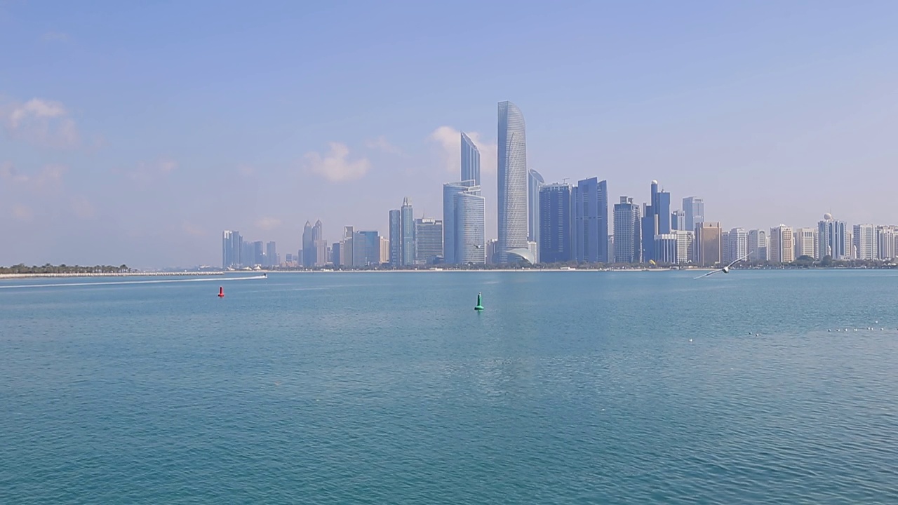 阳光明媚的阿布扎比，海鸥在海边飞来飞去视频素材