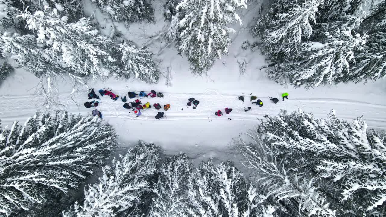 无人机拍摄的冬季喀尔巴阡山脉的徒步旅行，罗马尼亚。休息的一群人正在攀登朱马劳峰。雪森林视频素材