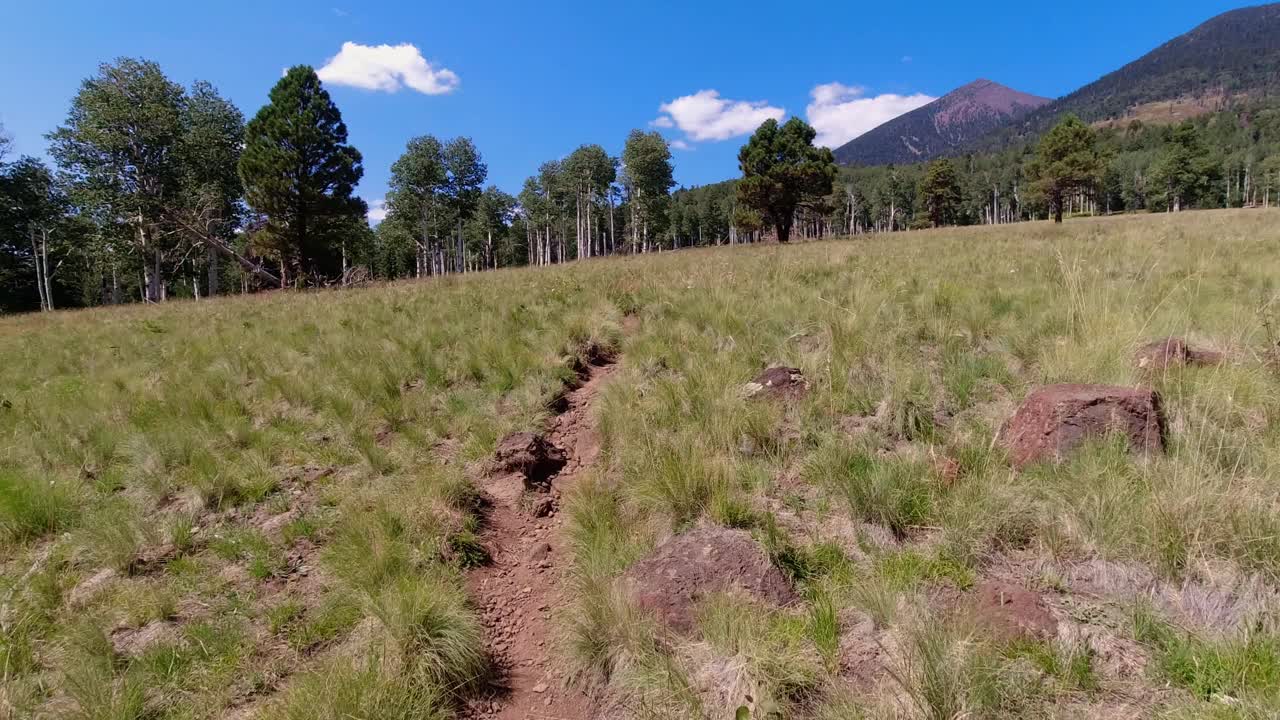 在一大片草地上沿着有车辙的步行道行走，前面是森林和山脉。视频素材