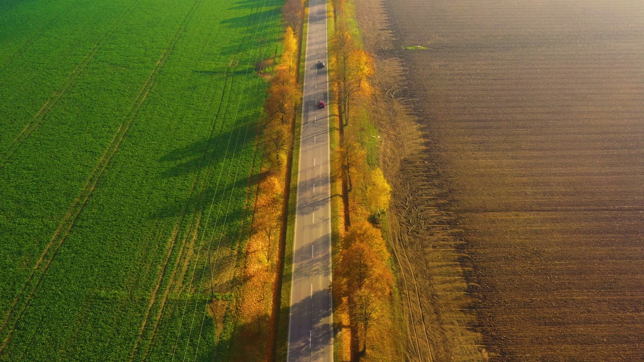 鸟瞰图在美丽的秋天森林在日落。美丽的风景，空旷的乡村公路，红叶橙叶的树木。高速公路穿过公园。俯视图从飞行的无人机。自然视频素材