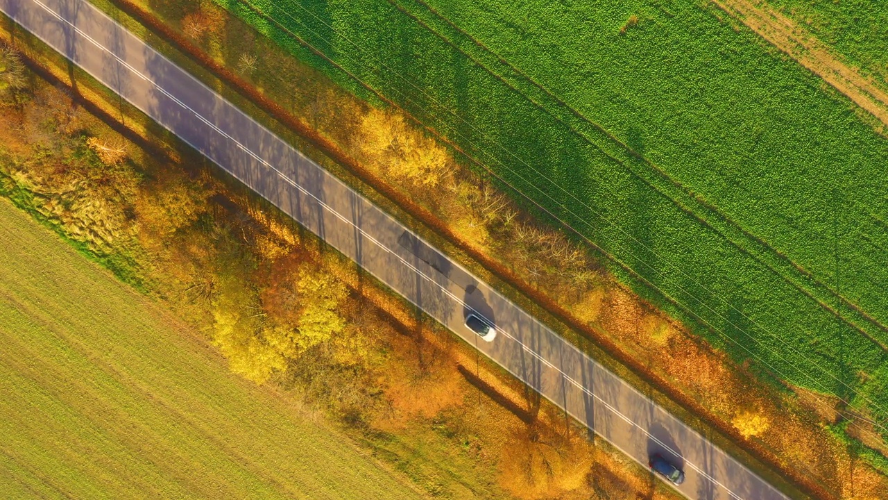 鸟瞰图在美丽的秋天森林在日落。美丽的风景，空旷的乡村公路，红叶橙叶的树木。高速公路穿过公园。俯视图从飞行的无人机。自然视频素材