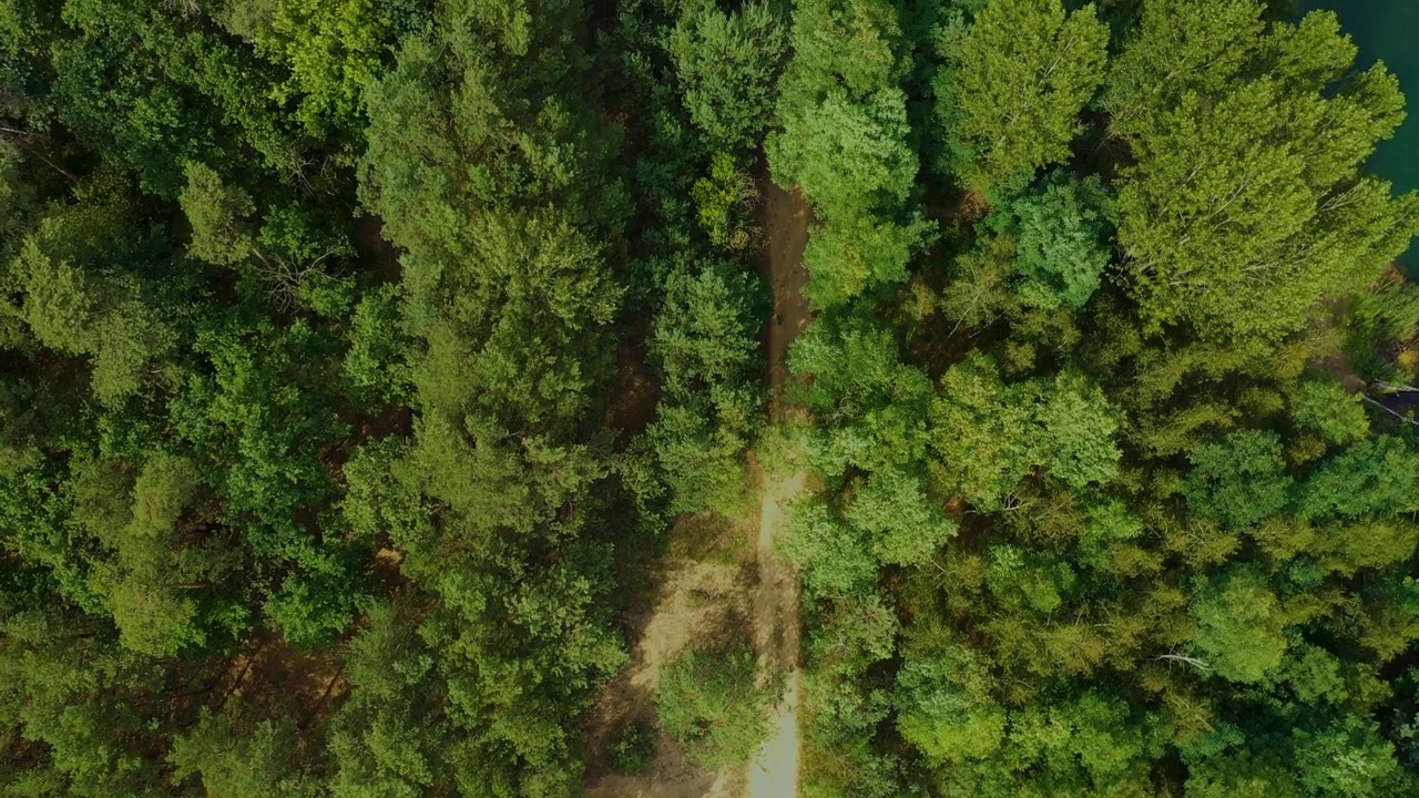 鸟瞰穿过森林的乡村公路视频素材