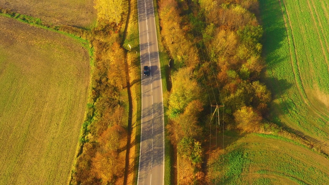 鸟瞰图在美丽的秋天森林在日落。美丽的风景，空旷的乡村公路，红叶橙叶的树木。高速公路穿过公园。俯视图从飞行的无人机。自然视频素材