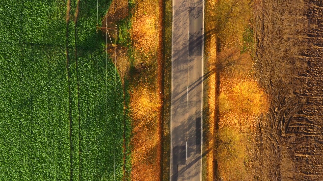 鸟瞰图在美丽的秋天森林在日落。美丽的风景，空旷的乡村公路，红叶橙叶的树木。高速公路穿过公园。俯视图从飞行的无人机。自然视频素材