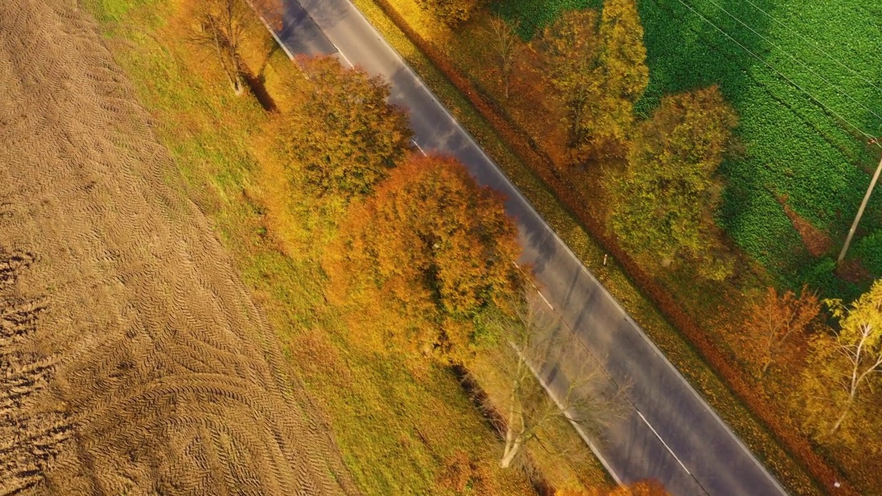 鸟瞰图的道路在美丽的秋天森林日落在农村。美丽的风景，乡村道路和树木的五颜六色的叶子。视频素材