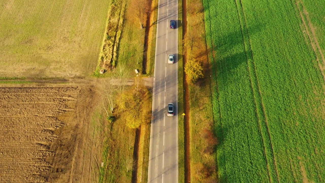 鸟瞰图的道路在美丽的秋天森林日落在农村。美丽的风景，乡村道路和树木的五颜六色的叶子。视频素材