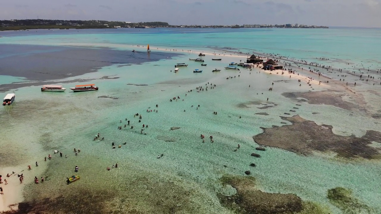 玫瑰岛。水族馆。圣安德烈斯岛。哥伦比亚。视频素材