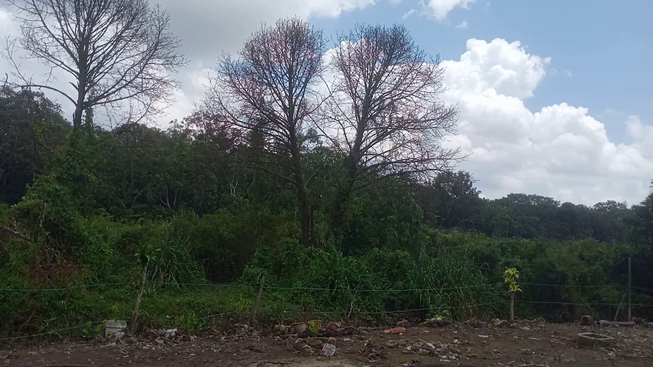 农村室外风景视频素材