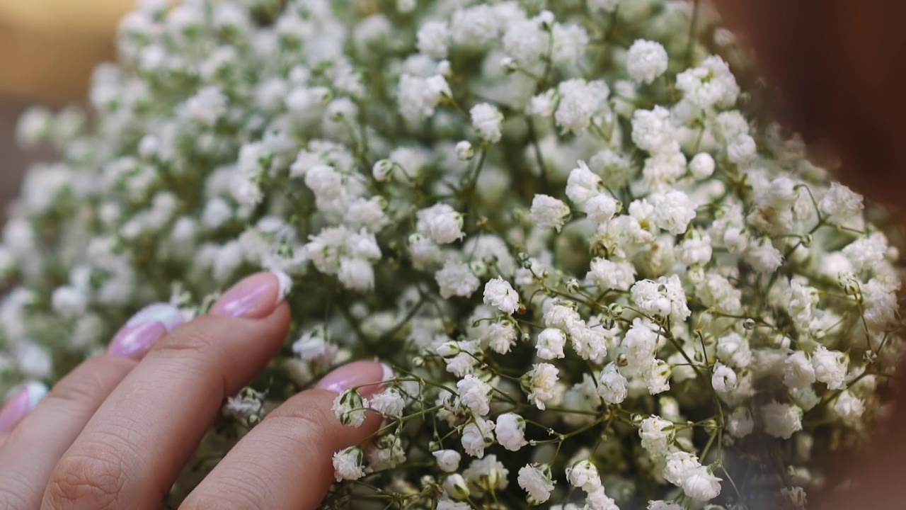 戴着金戒指的女人，温柔地捧着一束gypsophila视频素材