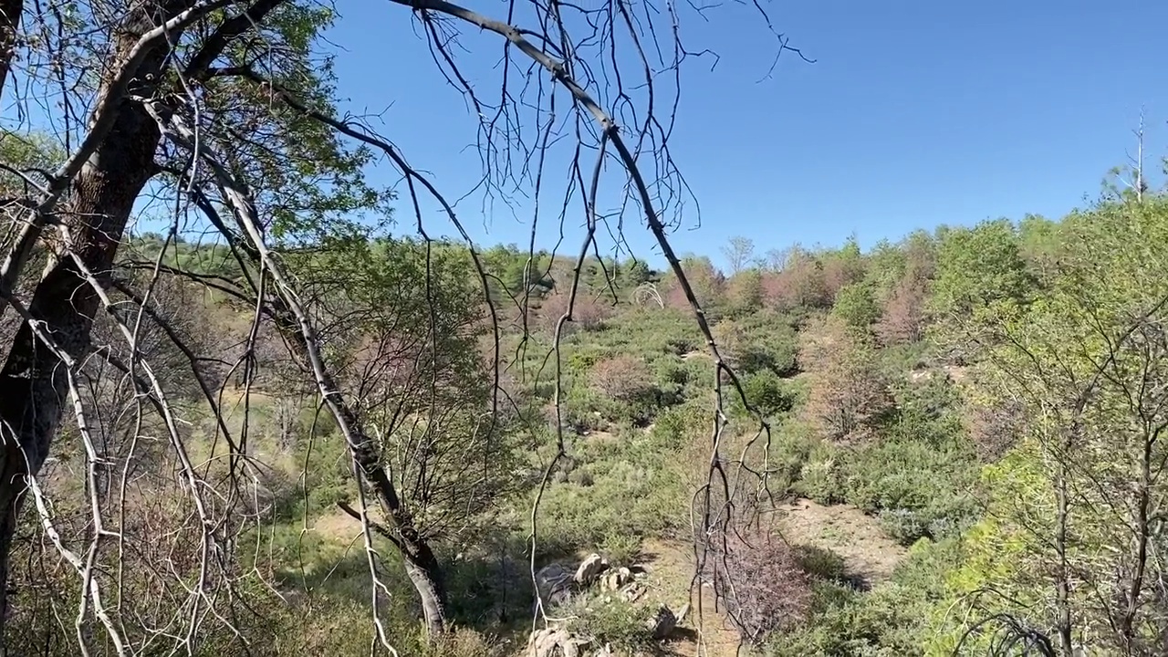 缓慢移动的全景镜头穿过山脉和林地视频下载