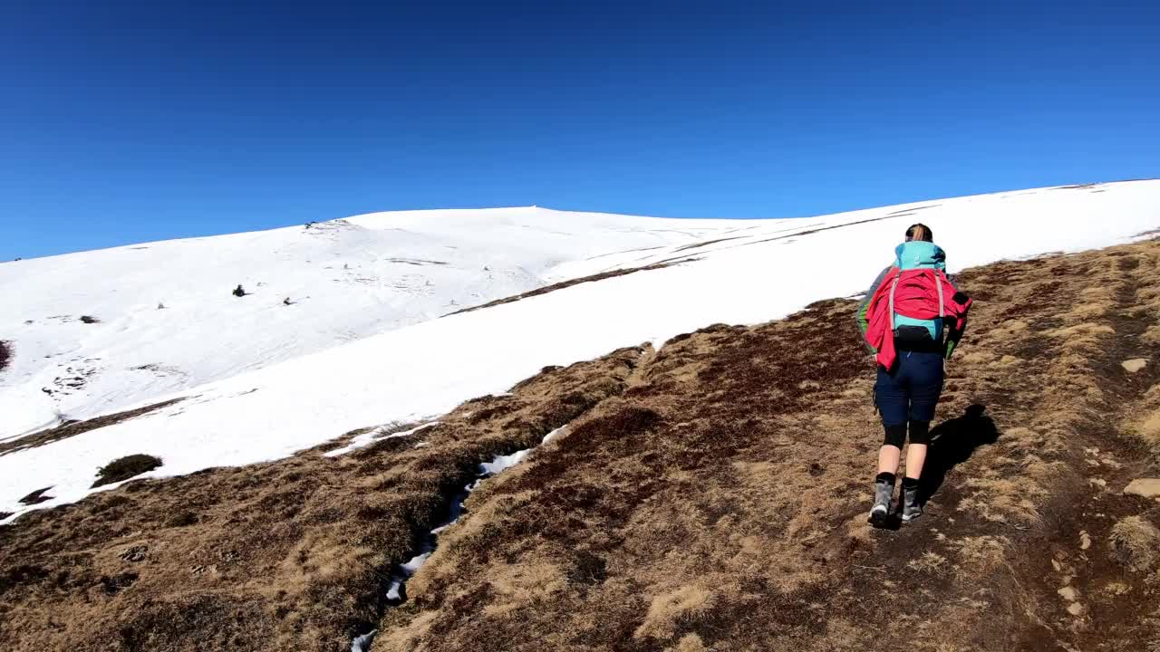 活跃的成年女性在奥地利卡林西亚拉万塔尔阿尔卑斯山Ladinger Spitz峰附近的积雪覆盖的高山草地上徒步旅行。早春徒步旅行。冬季仙境。阳光明媚,敬畏视频素材