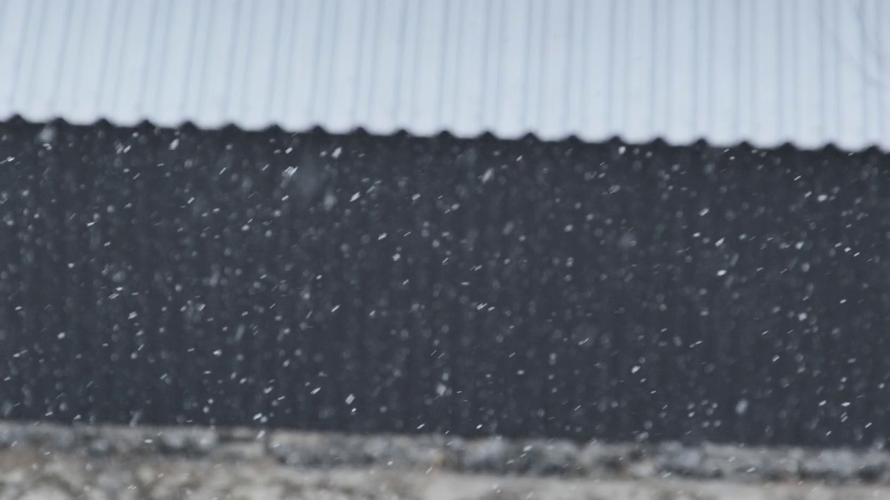 街上的雪，暴风雪，暴风雪视频素材