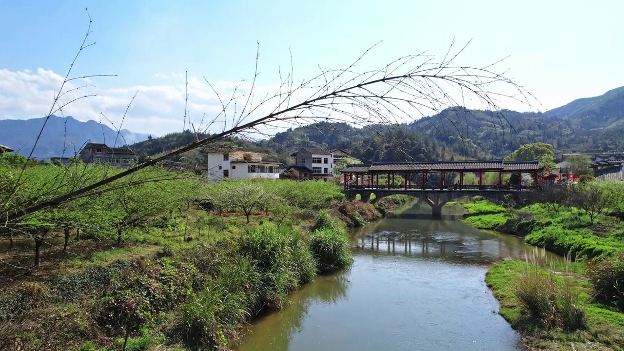 河流和桥视频素材