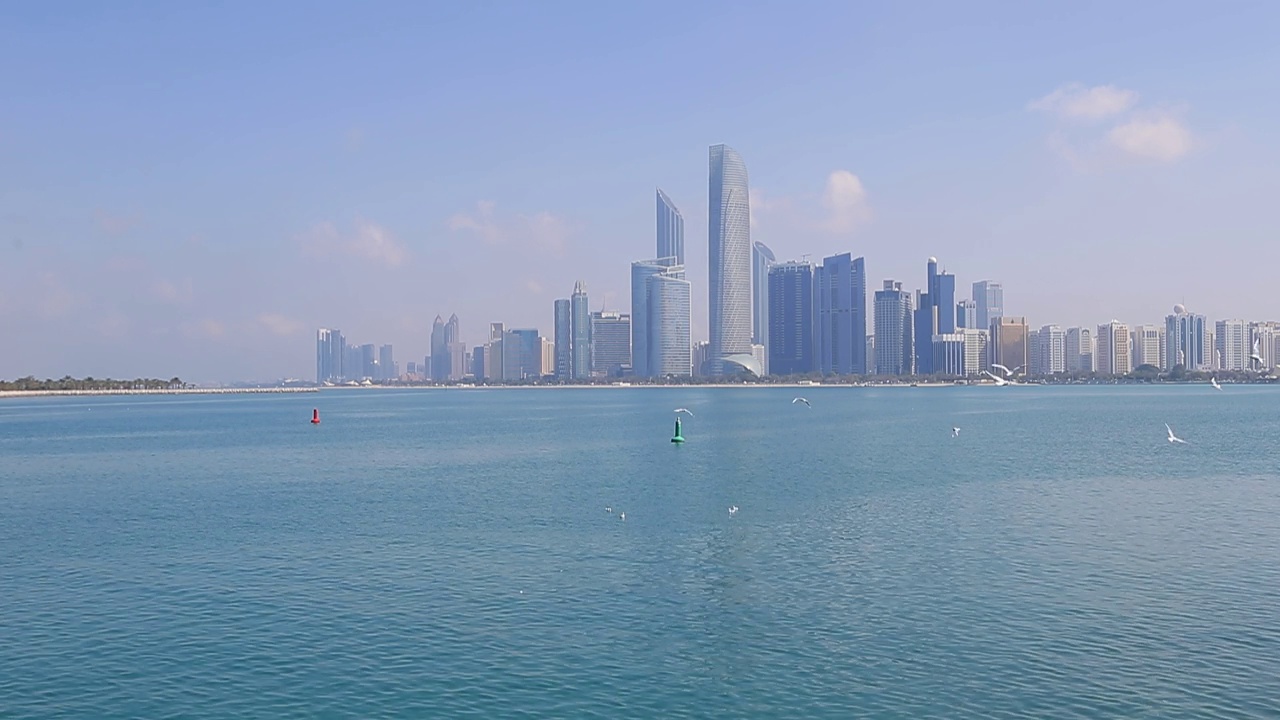 阳光明媚的阿布扎比，海鸥在海边飞来飞去视频素材